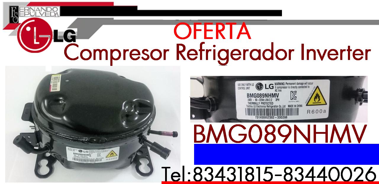 INVERTER LGG.JPG